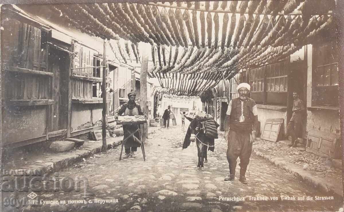 Стара пощенска картичка 1931 Перущица сушене на тютюн Стара пощенска картичка 1931 Перущица сушене на тютюн