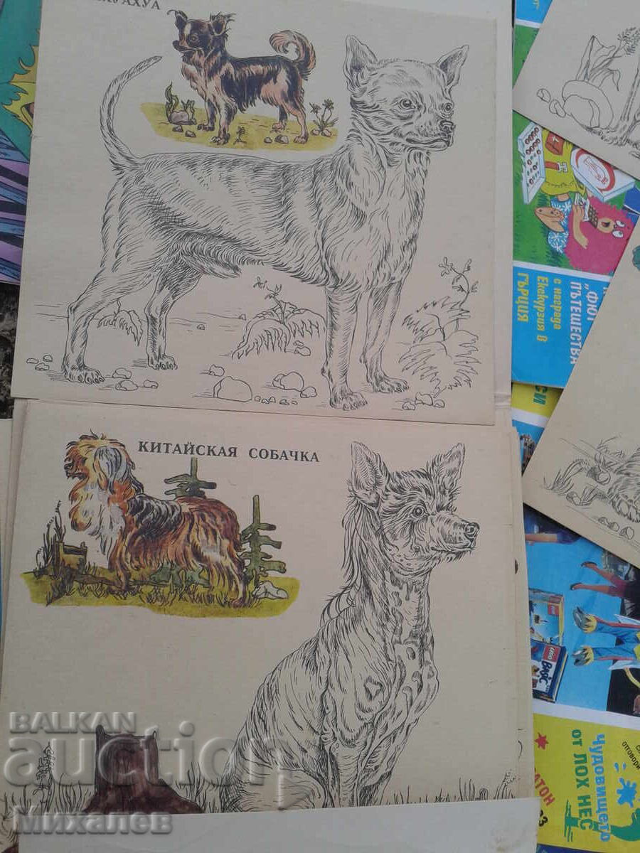 ODUMKI set of children's books and magazines - 7