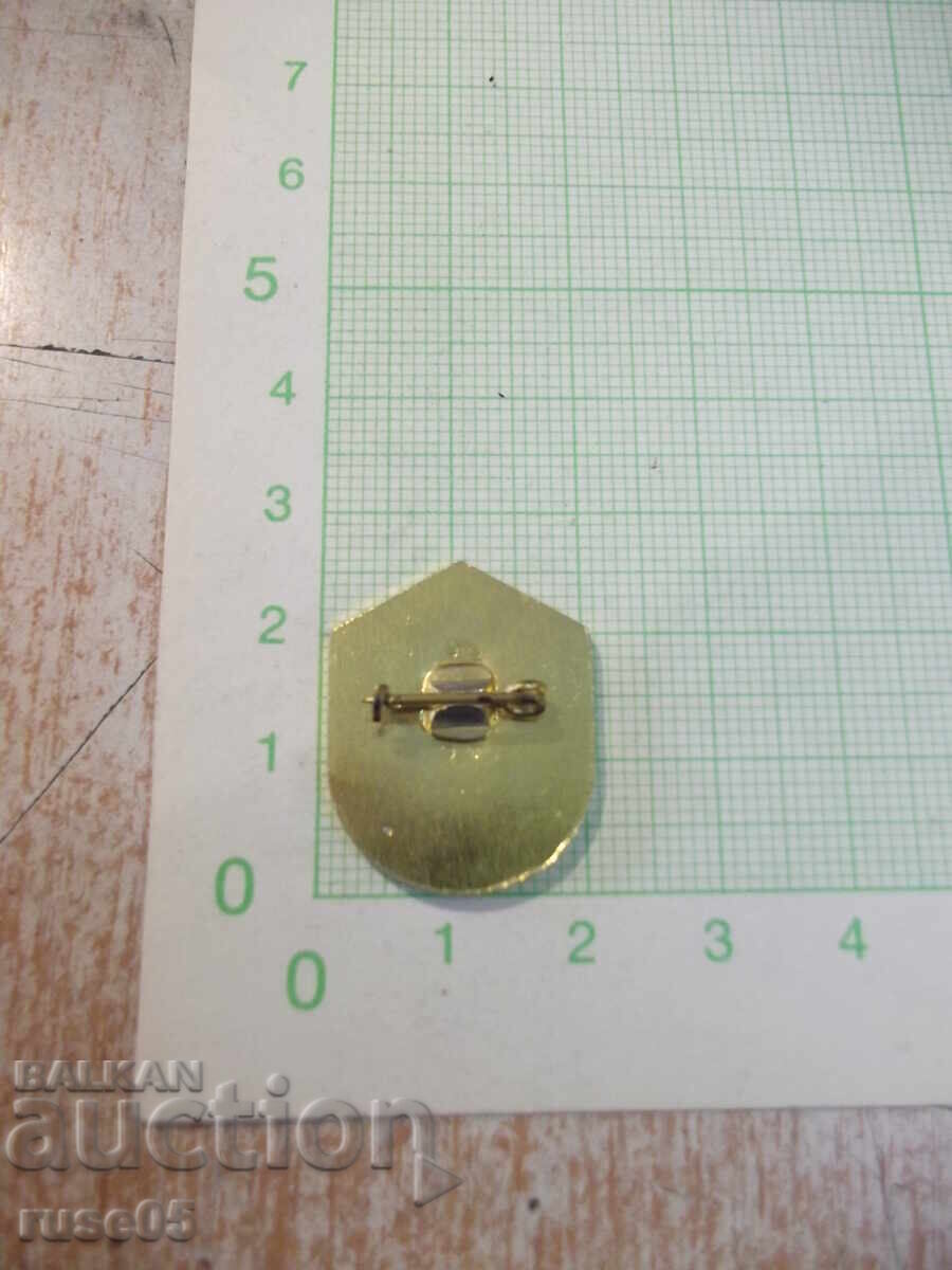 Badge "125 years Baba Tonka High School 1864-1989" with price € 25.56 | 49.99 BGN