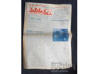 1937 RASĂ SĂNĂTOASĂ