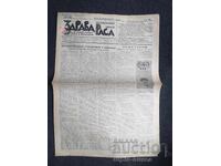 1937 RASĂ SĂNĂTOASĂ