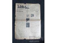 1937 RASĂ SĂNĂTOASĂ