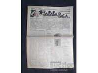1937 RASĂ SĂNĂTOASĂ