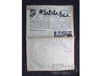 1937 RASĂ SĂNĂTOASĂ