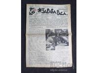 1937 RASĂ SĂNĂTOASĂ