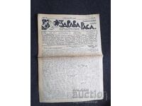 1937 RASĂ SĂNĂTOASĂ