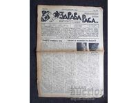 1937 RASĂ SĂNĂTOASĂ