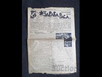1937 RASĂ SĂNĂTOASĂ