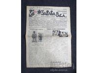 1937 RASĂ SĂNĂTOASĂ