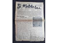1937 RASĂ SĂNĂTOASĂ