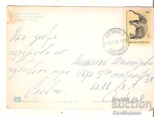 Card Bulgaria Râul Ropotamo 16* cu preț € 0.70 | 1.37 BGN Card Bulgaria Râul Ropotamo 16* cu preț € 0.70 | 1.37 BGN