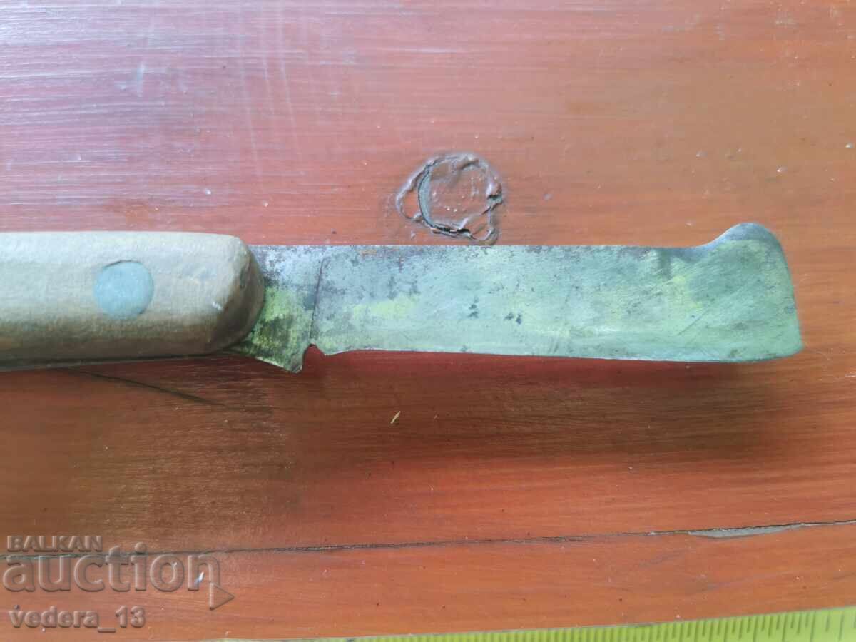PICIUN BĂTRÂN cu preț € 10.00 | 19.56 BGN