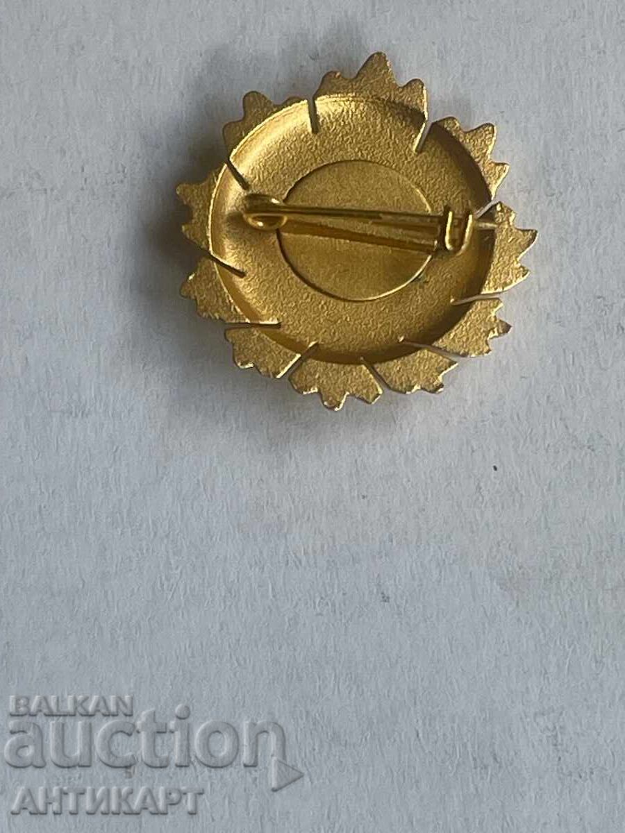 Μινιατούρα για παράσημο Λαϊκής Δημοκρατίας της Βουλγαρίας I βαθμού, παραλλαγή 1 με τιμή € 6.65 | 13.01 BGN Μινιατούρα για παράσημο Λαϊκής Δημοκρατίας της Βουλγαρίας I βαθμού, παραλλαγή 1 με τιμή € 6.65 | 13.01 BGN