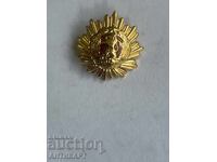 Μινιατούρα για παράσημο Λαϊκής Δημοκρατίας της Βουλγαρίας I βαθμού, παραλλαγή 1