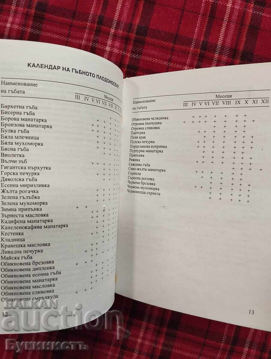 50 ГЪБИ ЗА ЛЮБИТЕЛЯ ГЪБАР - 5
