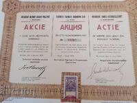 Acțiune veche 0.1 cent