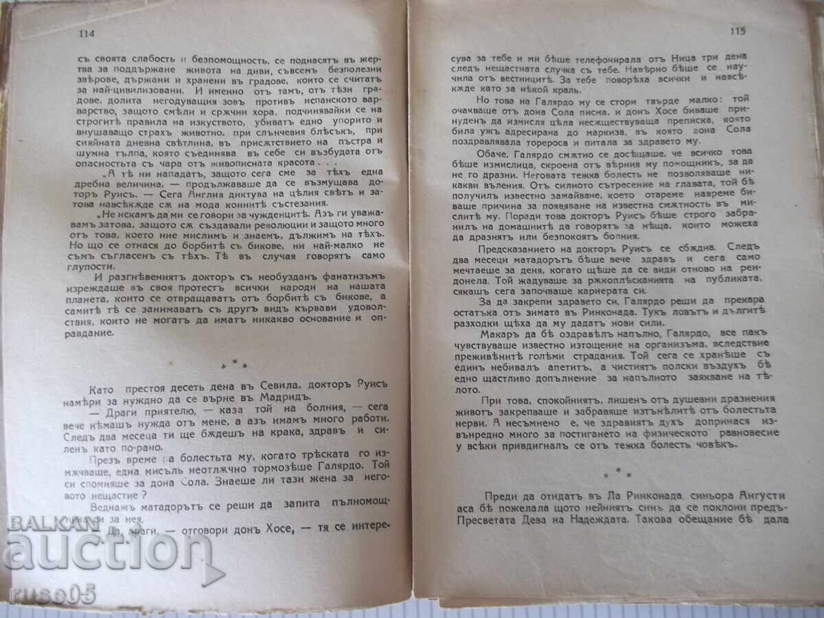 Delivery of Book "Blood and Sand - Blasco Ibáñez" - 176 pages