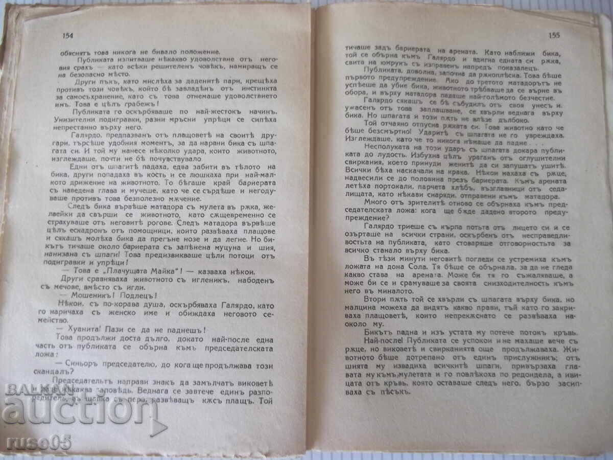 Book "Blood and Sand - Blasco Ibáñez" - 176 pages - 5