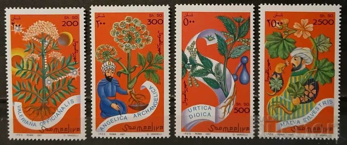 De la 1 cent Somalia 1997 Floră/Plante medicinale 8.25€ MNH
