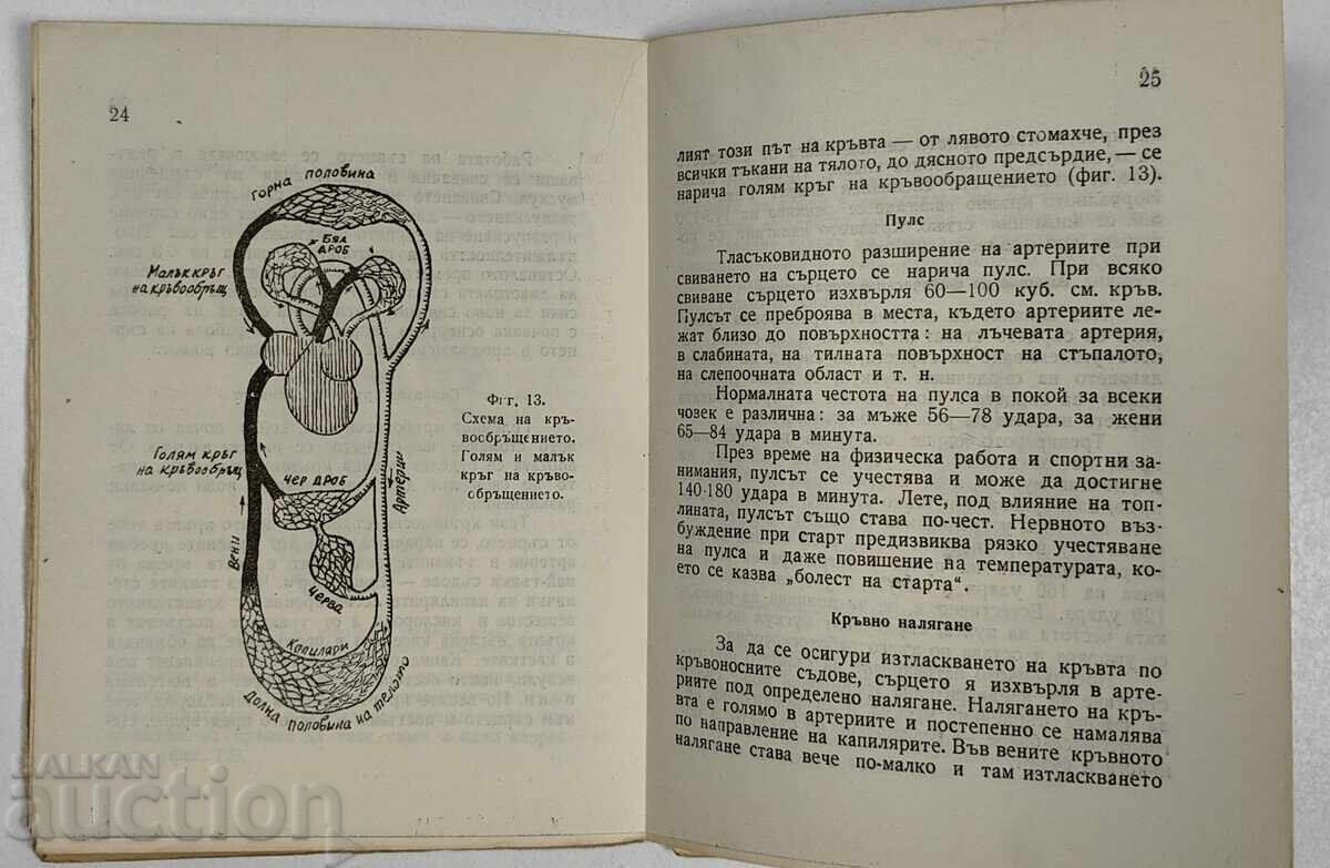 1947 ΥΓΙΕΙΝΗ ΑΥΤΟΕΛΕΓΧΟΣ ΚΑΙ ΠΡΩΤΕΣ ΒΟΗΘΕΙΕΣ - 6