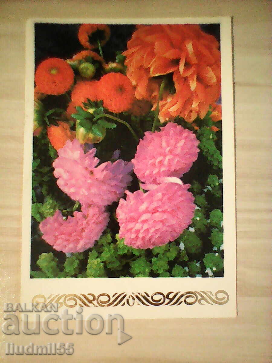 CARD VECHI