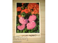 CARD VECHI