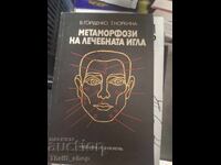 Metamorphoses of the healing needle