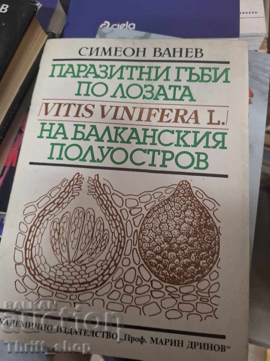 Ciuperci parazite pe vița de vie din Peninsula Balcanică