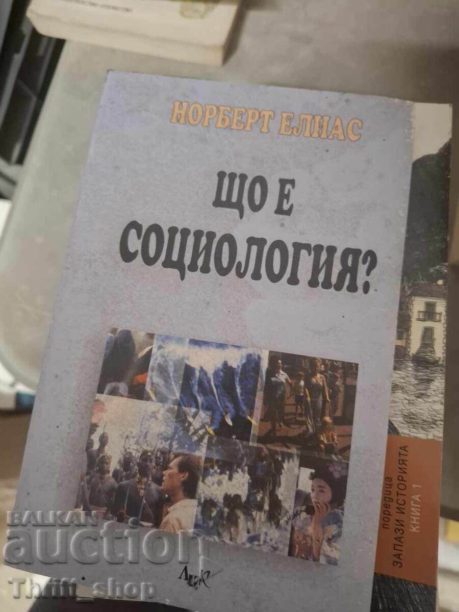 Ce este sociologia