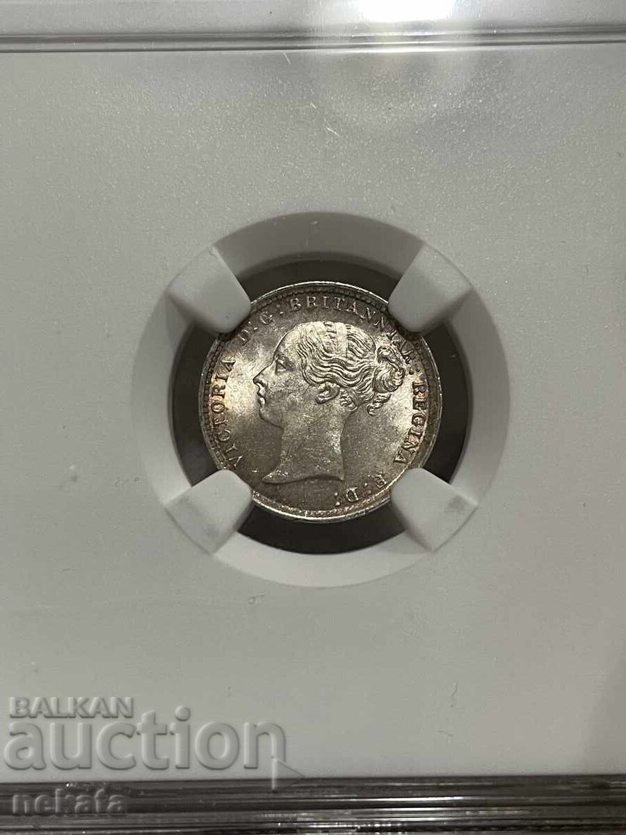 Δημοπρασία Μεγάλη Βρετανία, 3 πένες 1884 NGC MS64 Δημοπρασία Μεγάλη Βρετανία, 3 πένες 1884 NGC MS64