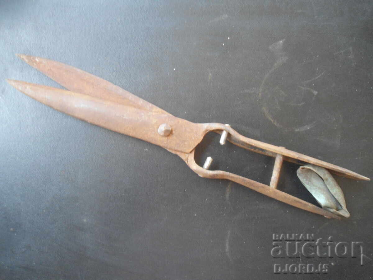 Old forged scissors
