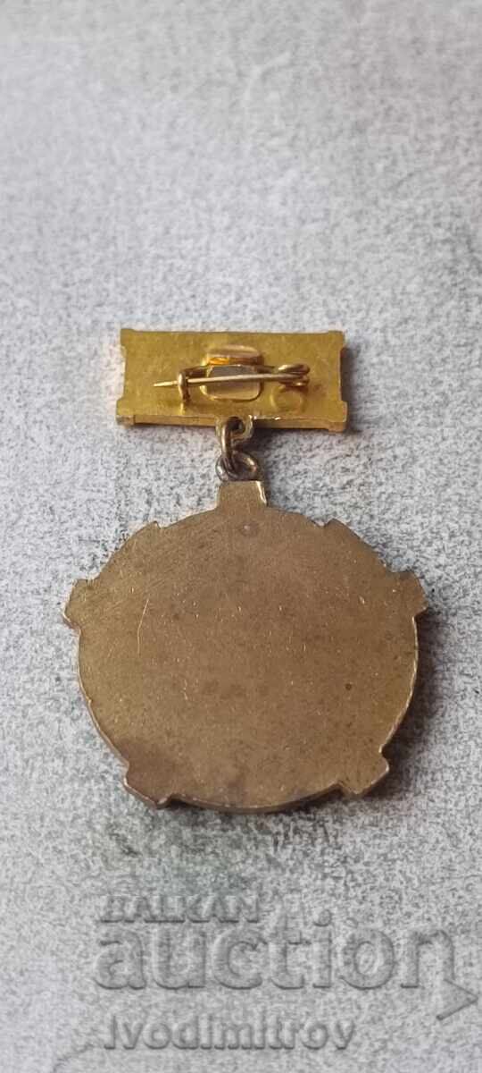 NRB State Planning Commission badge with price € 8.67 | 16.96 BGN