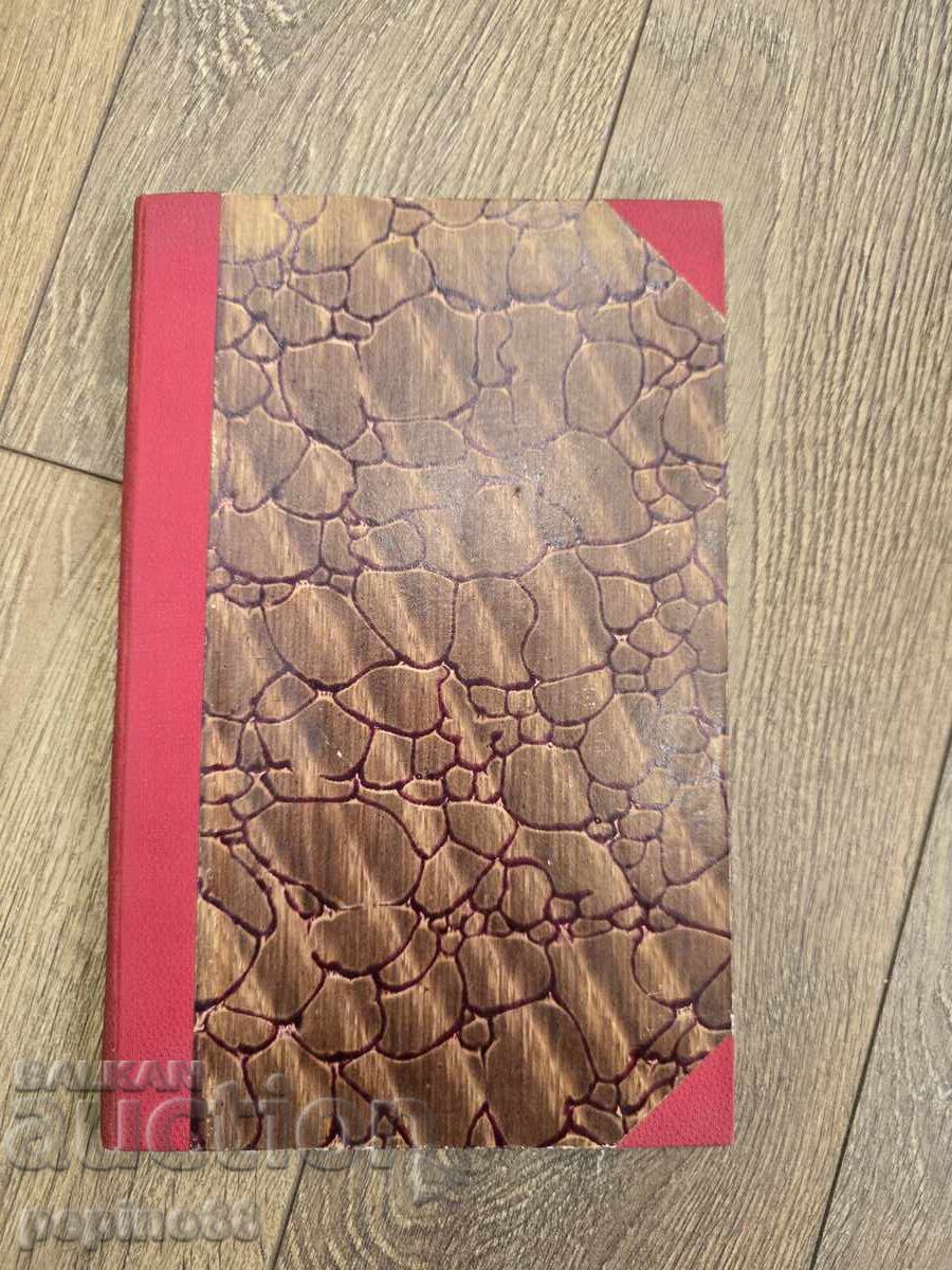 Antique book 1900 – Strengthening the memory with price € 10.00 | 19.56 BGN