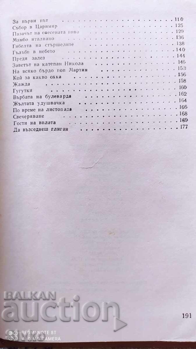 The Winged Trough, Nikolay Haytov - 5