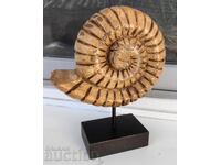 LARGE WOODEN SHELL CLAM FOSSIL STATUETTE SCULPTURE FIGURE
