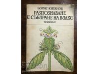 РАЗПОЗНАВАНЕ И СЪБИРАНЕ НА БИЛКИ - БОРИС КИТАНОВ