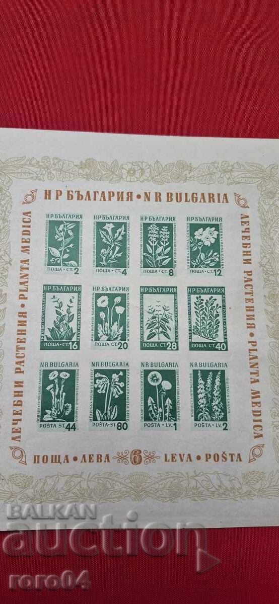 РЕДОВНИ - ЛЕЧЕБНИ РАСТЕНИЯ - БЛОК - 1953 с цена € 9.99 | 19.54 лв.