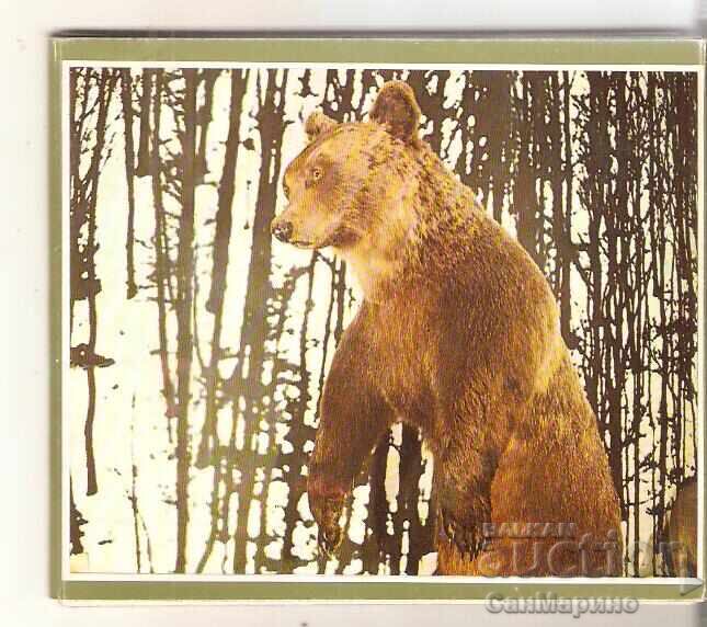 Card Bulgaria village of Cherni Osam Album with views 15 pieces* with price € 4.60 | 9.00 BGN
