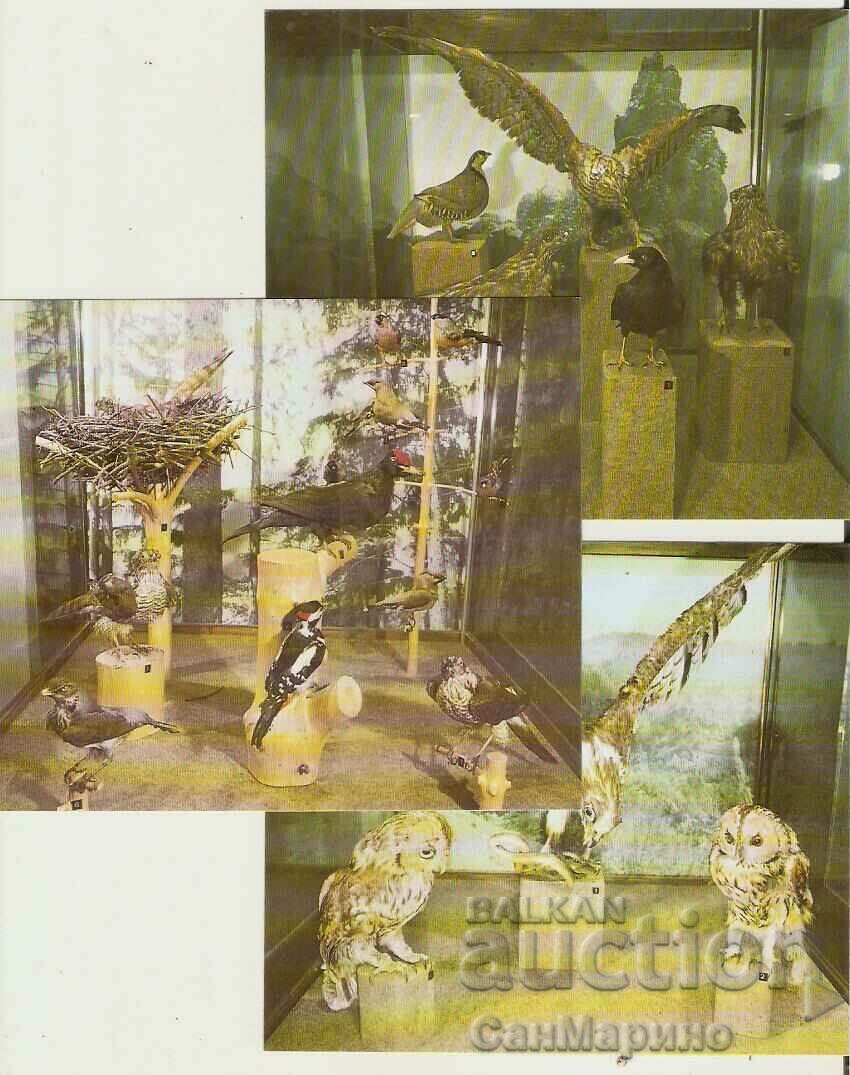 Delivery of Card Bulgaria village of Cherni Osam Album with views 15 pieces*
