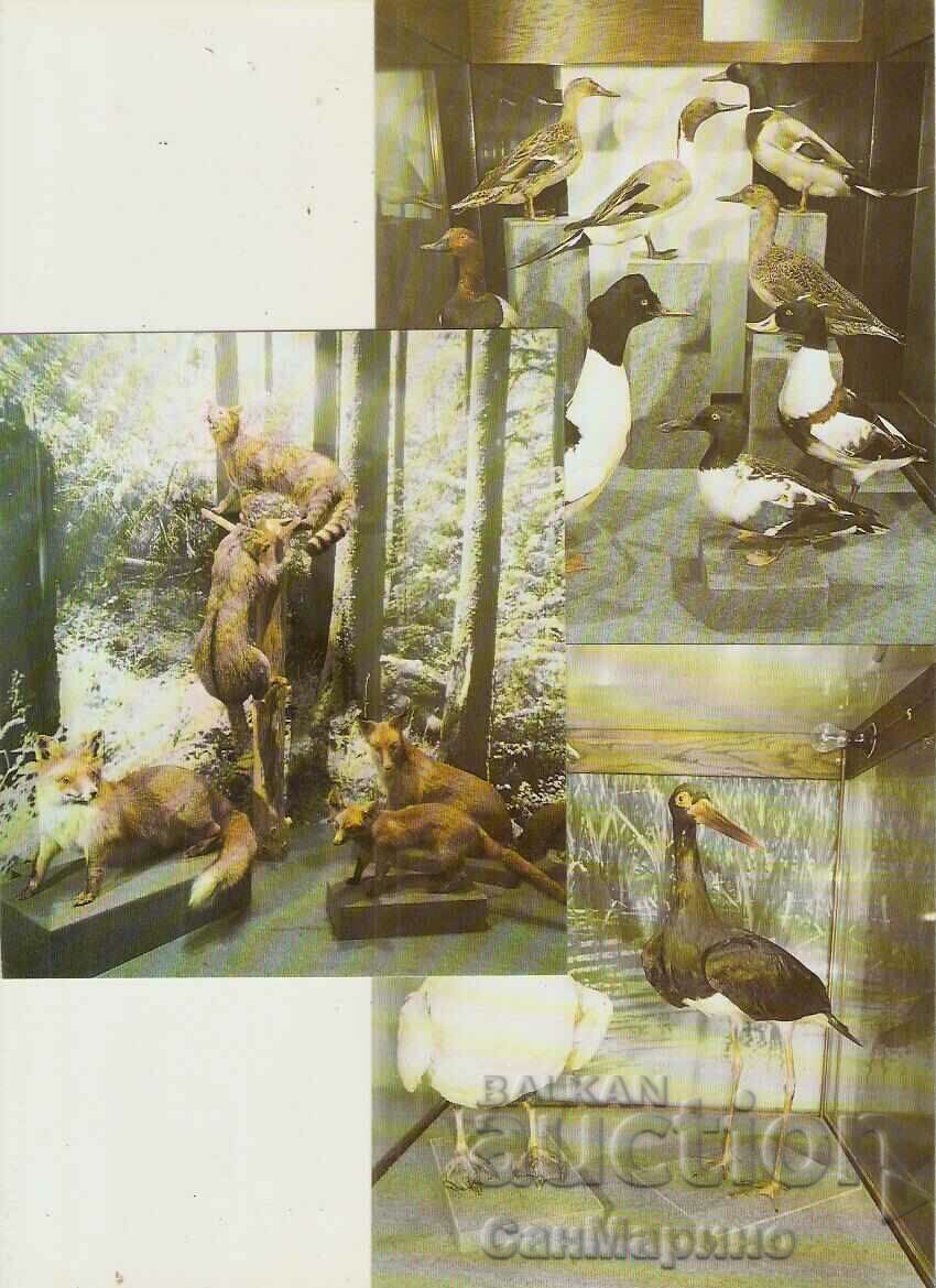 Card Bulgaria village of Cherni Osam Album with views 15 pieces* - 6