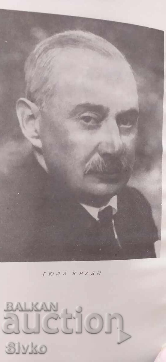 Licitație Diligența Roșie, Gyula Krudi