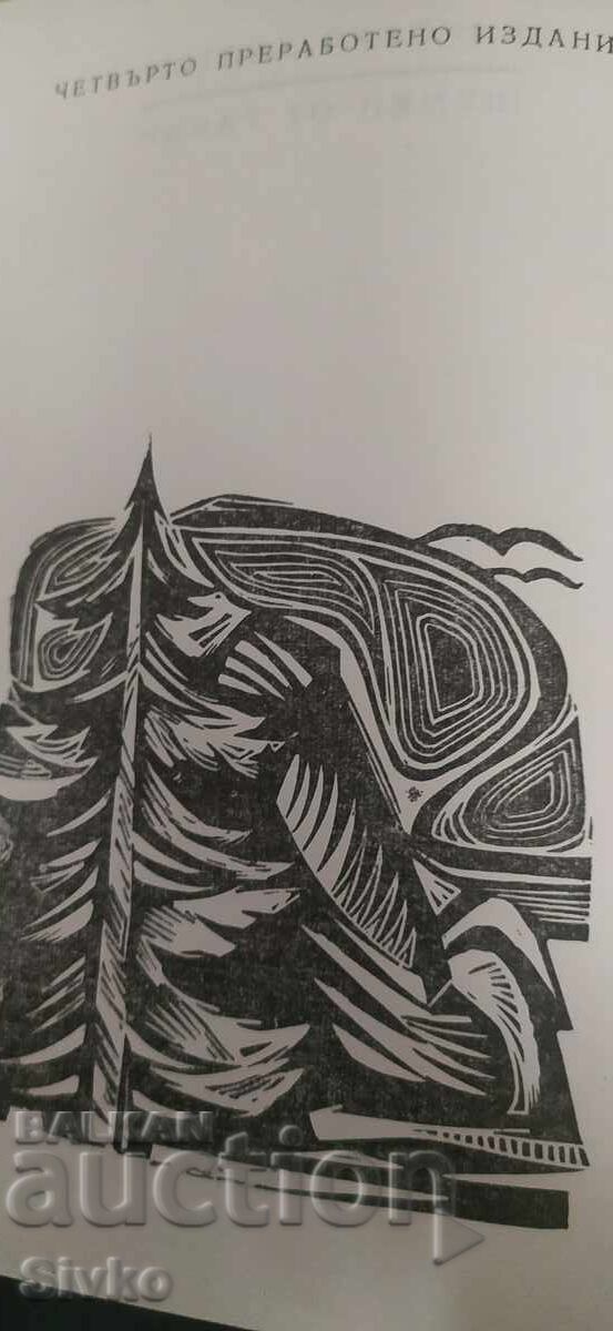 Hornbeam Shavings, Nikolay Haytov - 6 Hornbeam Shavings, Nikolay Haytov - 6