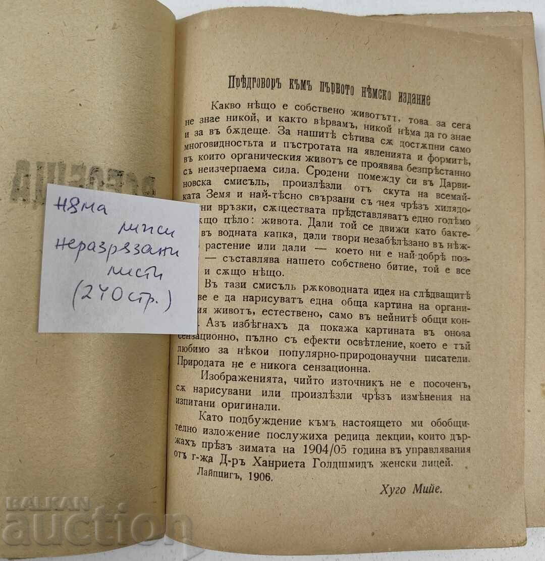Auction  1929 GENERAL BIOLOGY