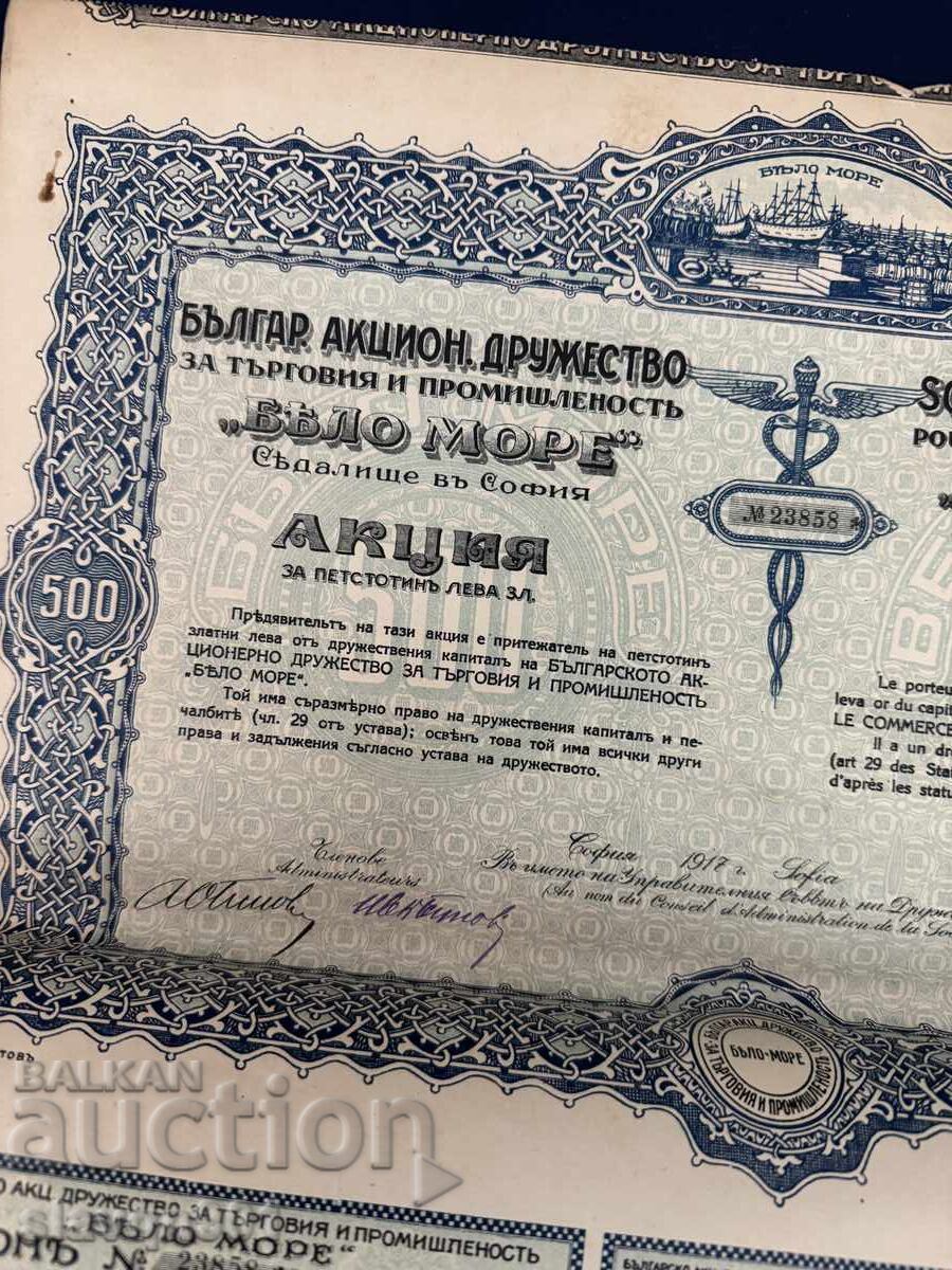 Licitație Promoție Marea Albă