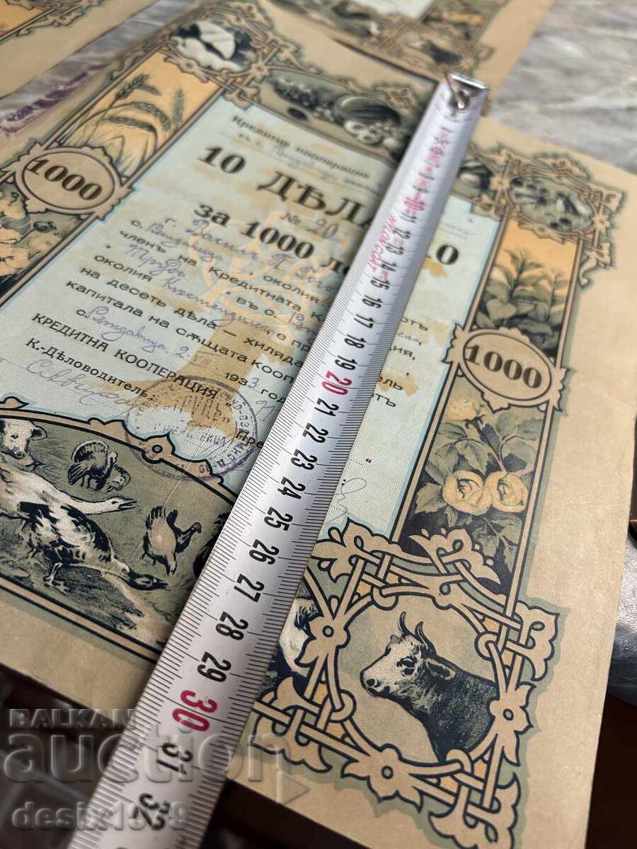 Царство България, акции, дялове с цена € 7.50 | 14.67 лв.