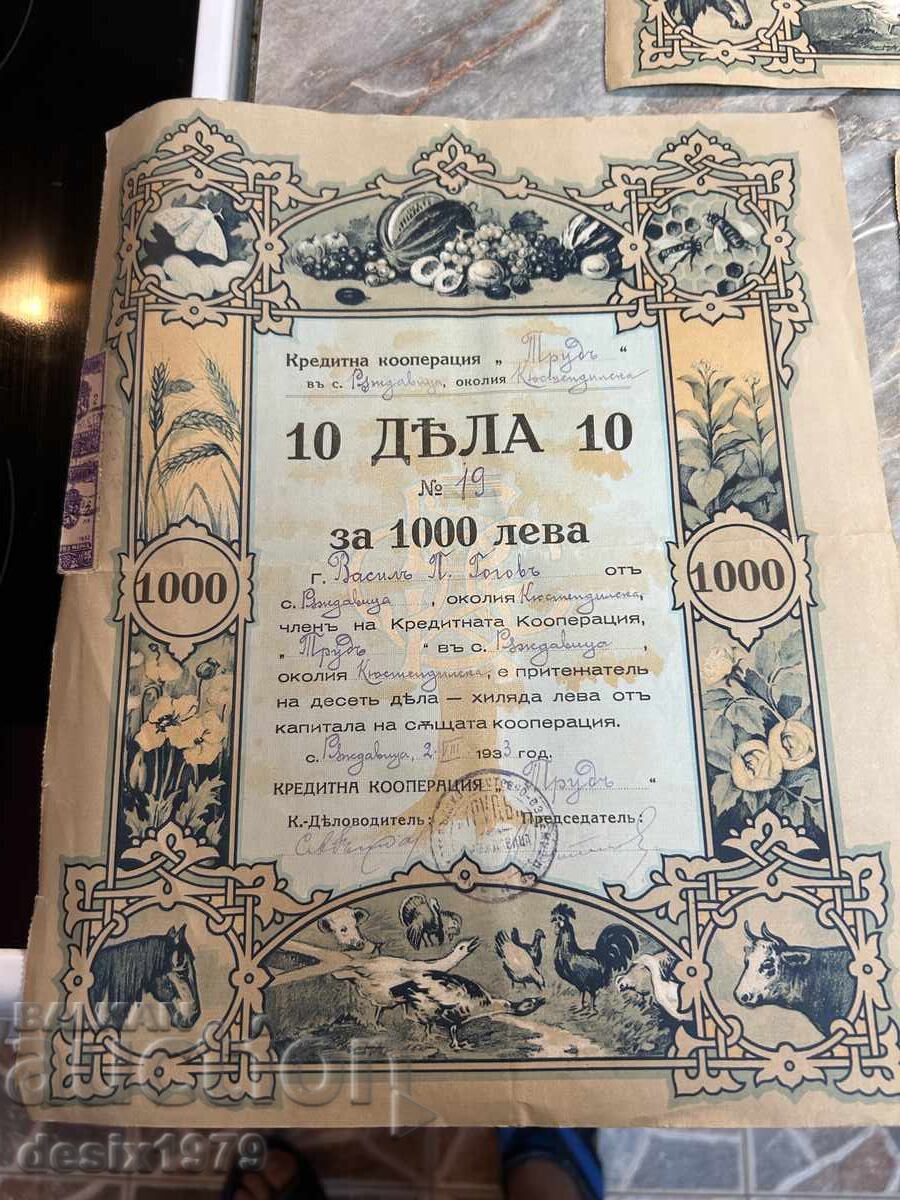 Аукцион Царство България, акции, дялове