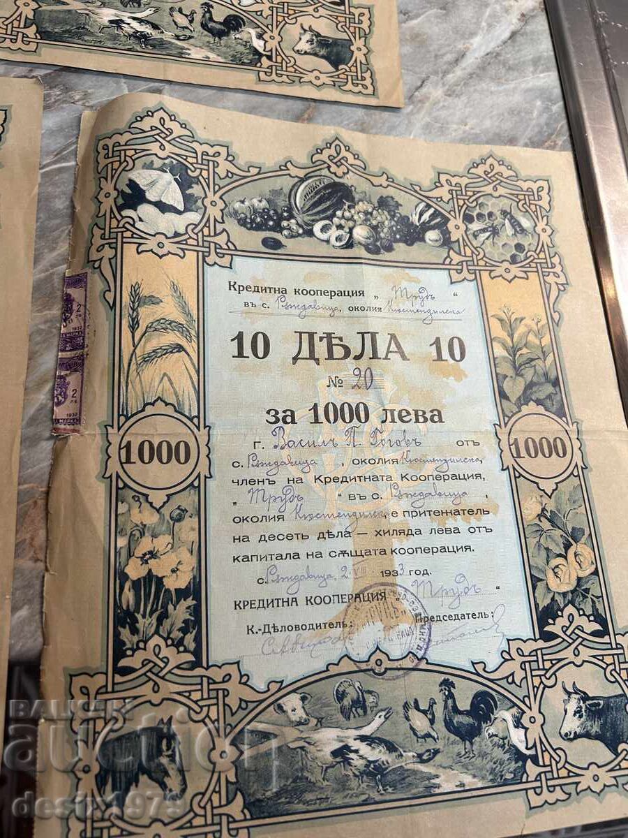 Доставка на Царство България, акции, дялове