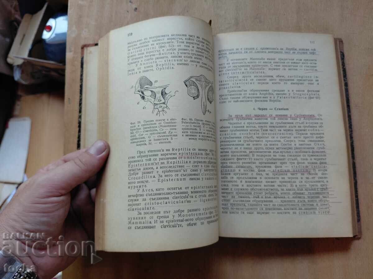 Сравнителна анатомия 1946 - 5 Сравнителна анатомия 1946 - 5