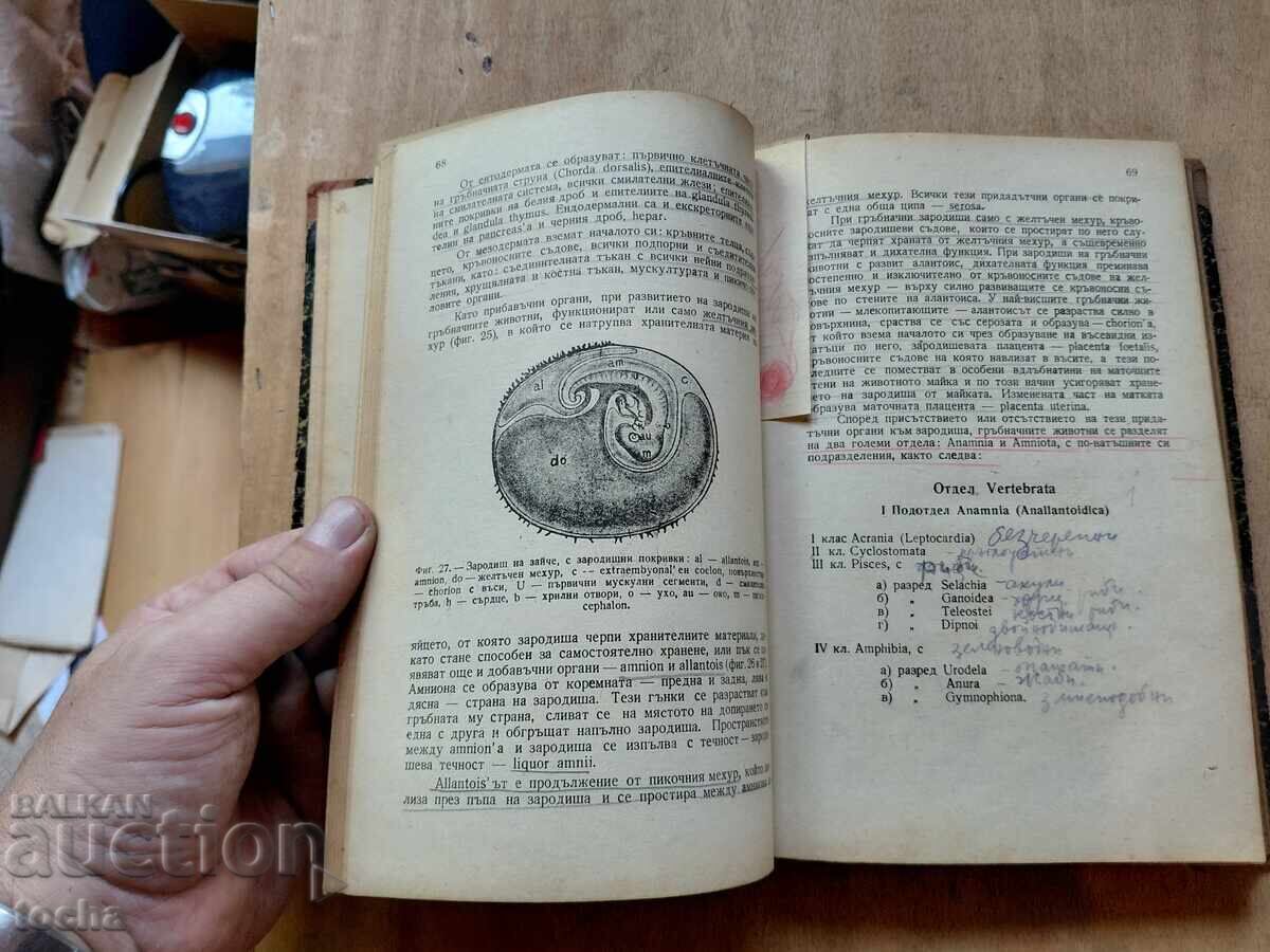 Сравнителна анатомия 1946 - 6 Сравнителна анатомия 1946 - 6