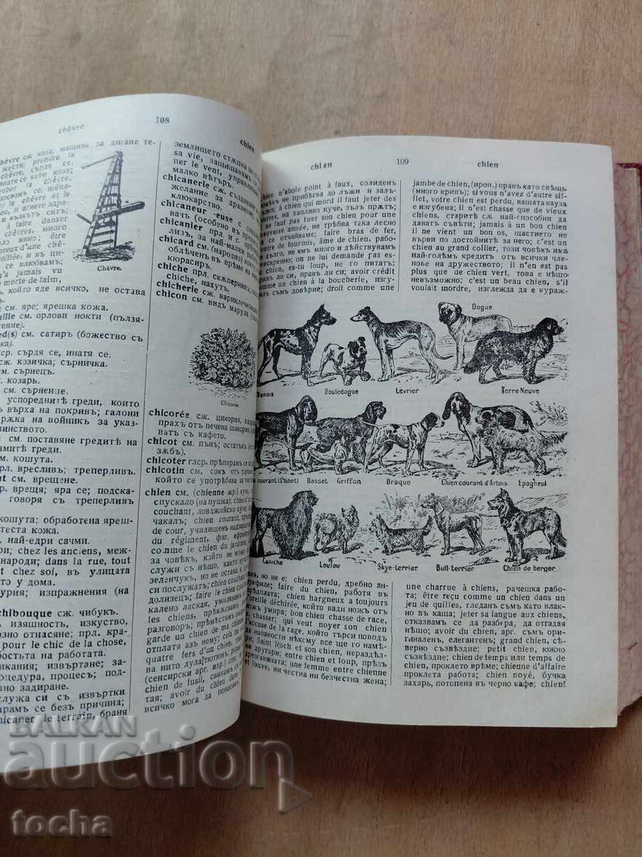 интересен илюстрован речник 1914 - 6